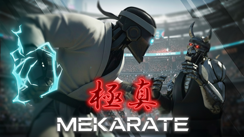 体感空手バトル「極真メカラテ」